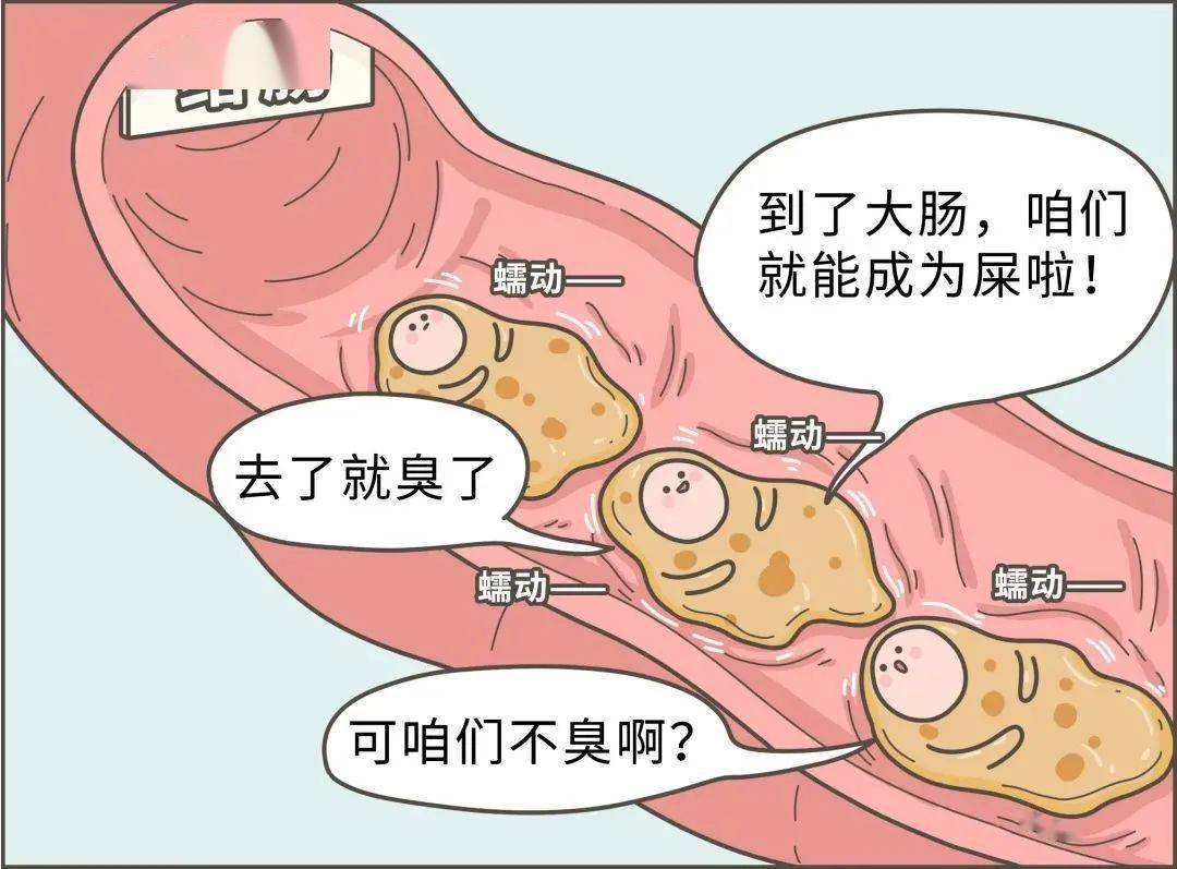 臭味|到底吃什么了？有些人的屎怎么会那么臭！