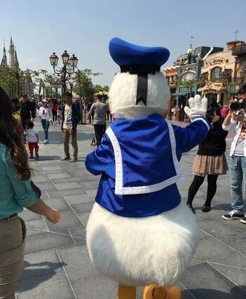 撞见迪斯尼乐园唐老鸭下班走路过程萌的一脸血