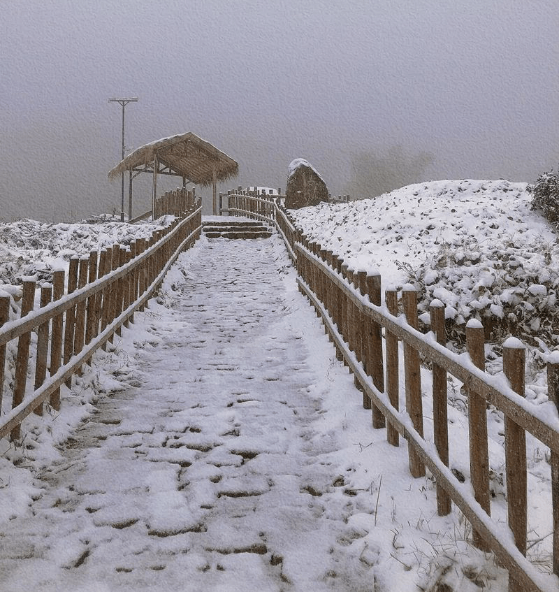 小雨|义乌，下！雪！了！