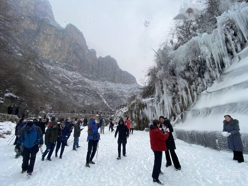 非法|河南云台山雪景冰瀑“同框” 上线冬季限定美景