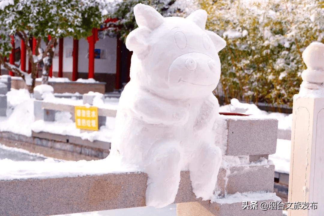 雪花|琼瑶匝地！“雪窝烟台”盛装亮相