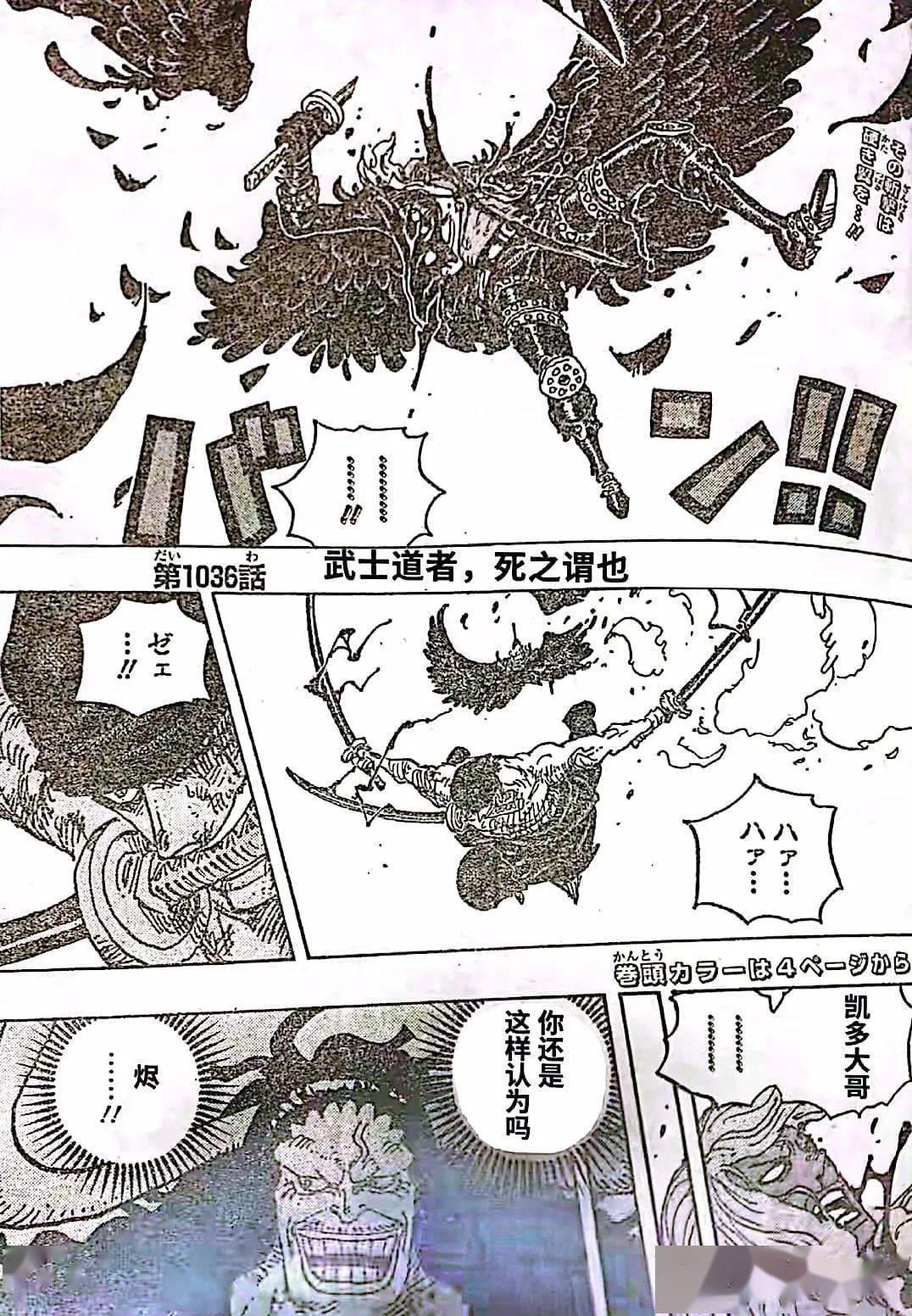 海贼王,海贼王,汉化版|海贼王 1036话 汉化版