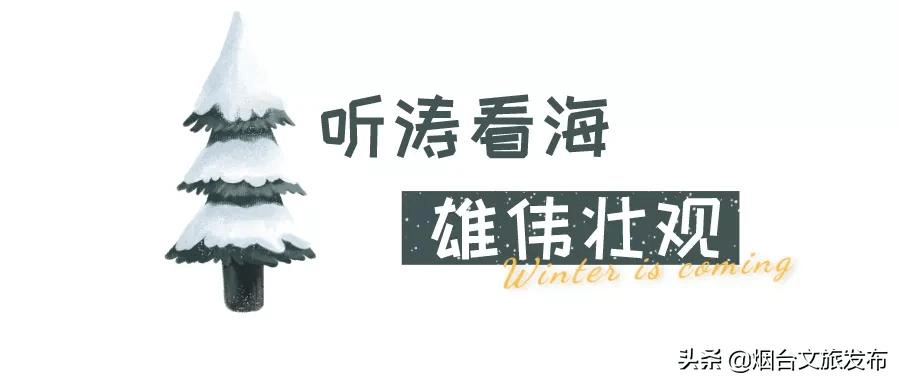 雪花|琼瑶匝地！“雪窝烟台”盛装亮相