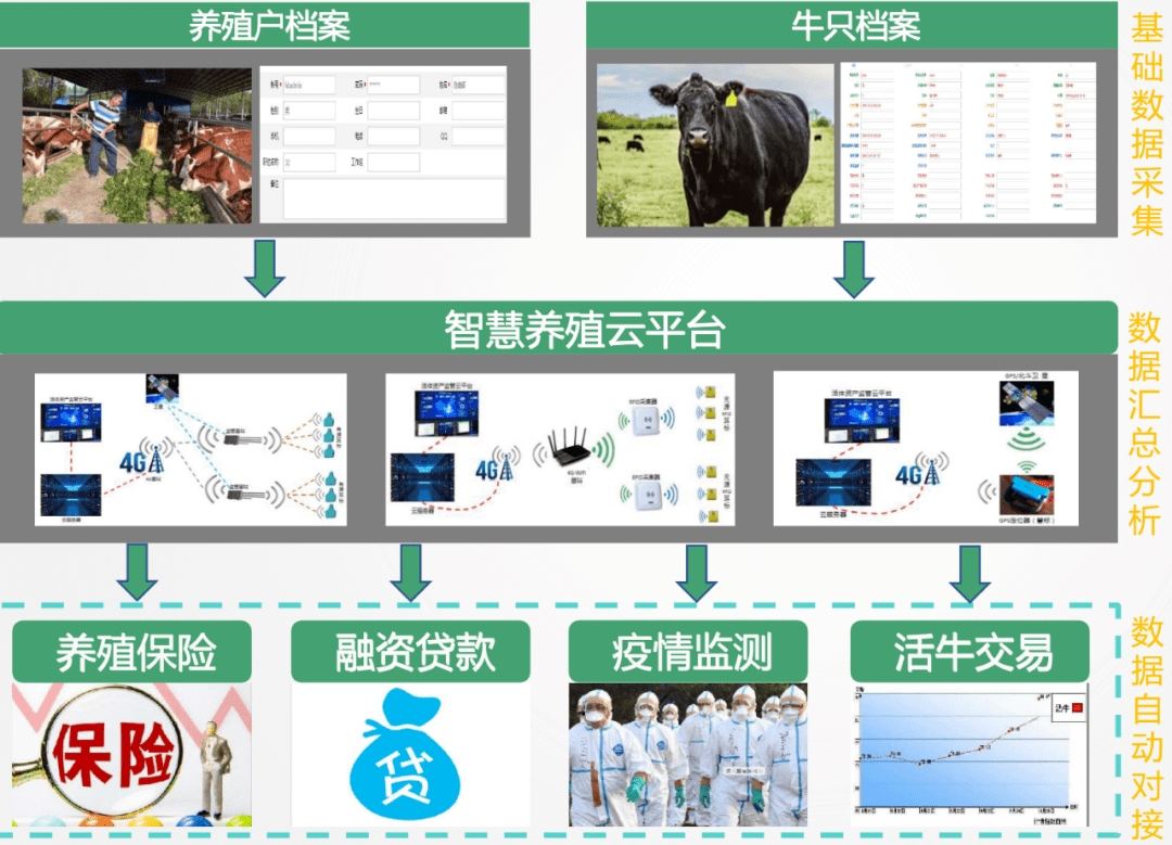 國外智慧牧場網站建設方案_(國外智慧牧場網站建設方案有哪些)