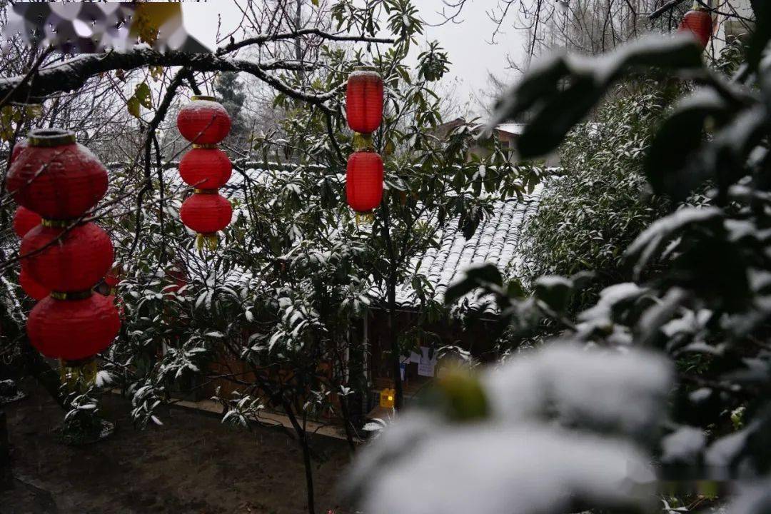 雪景|不负众望！都江堰下雪啦！最美雪景在这里~