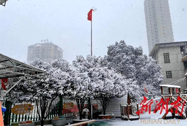 天气|最新消息！湖南多地教育系统发布中小学放假停课通知