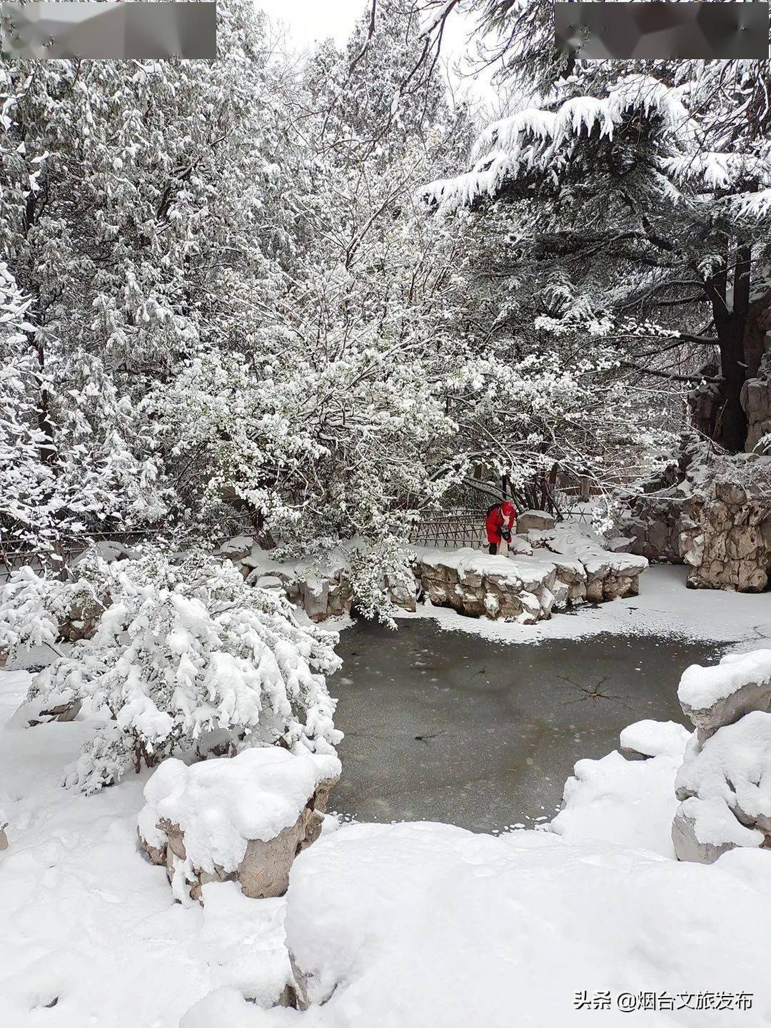 蓬莱|“雪窝”烟台变妆照，惊艳了全国！珍藏！