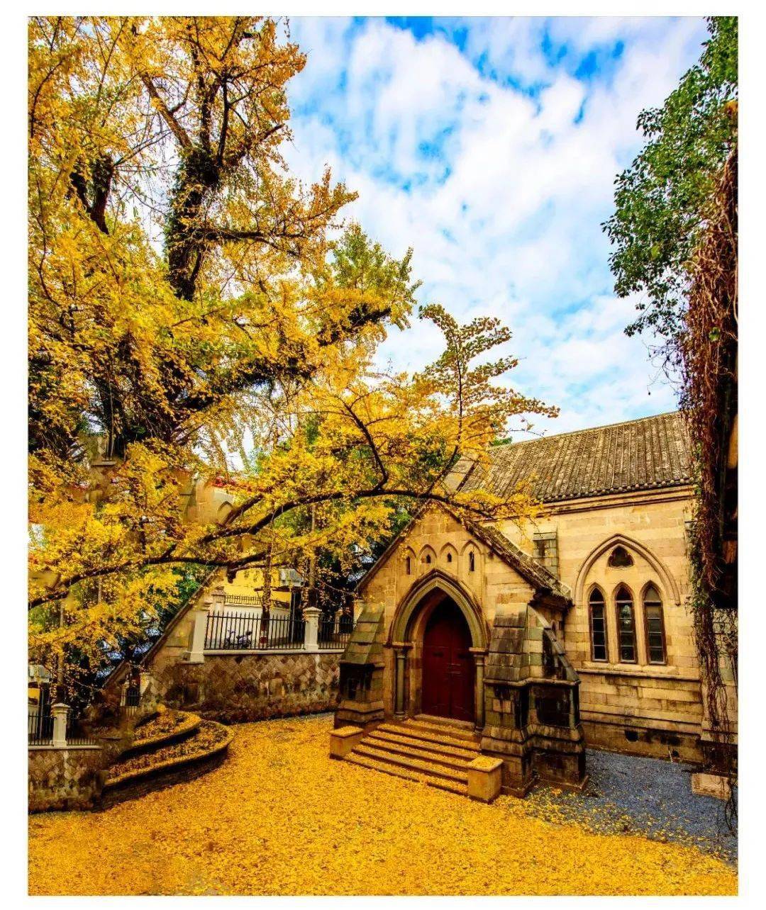 专属福州人的浪漫快带上相机在石厝教堂的银杏下感受最美的瞬间鱼说