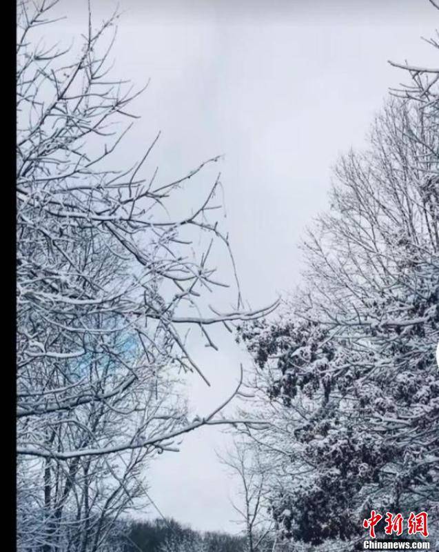 小峨眉|四川多地迎来首场降雪 南充金城山景区满山银装素裹