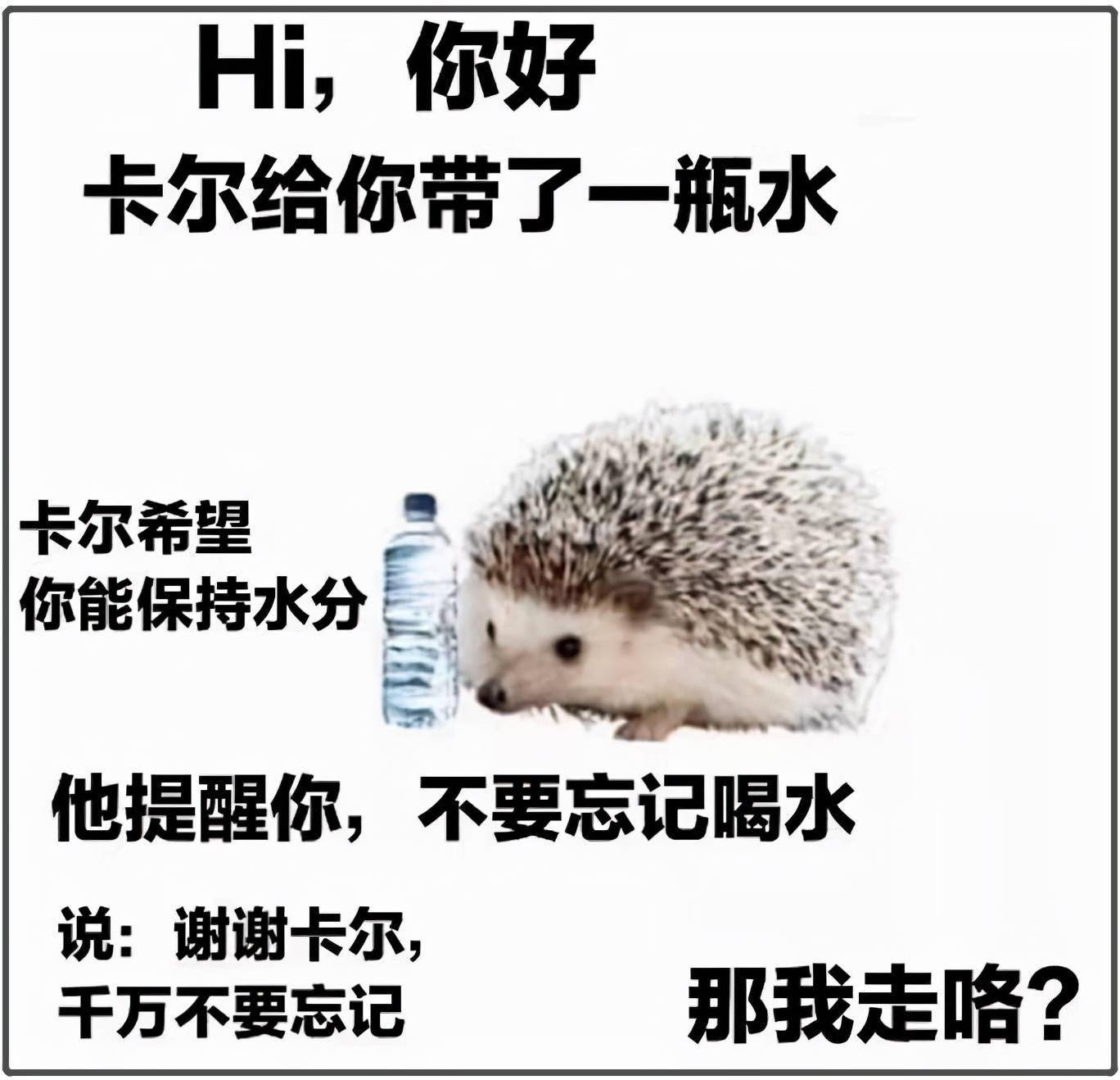 8225b84d59ec414481b56dcdbec74f46.jpeg