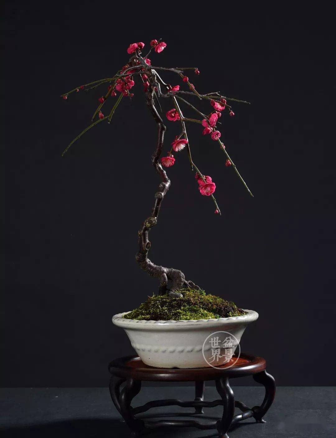 徐昊作品《孤山梅鹤》(绿萼梅,82×100cm)▲梁悦美作品(野梅,树高