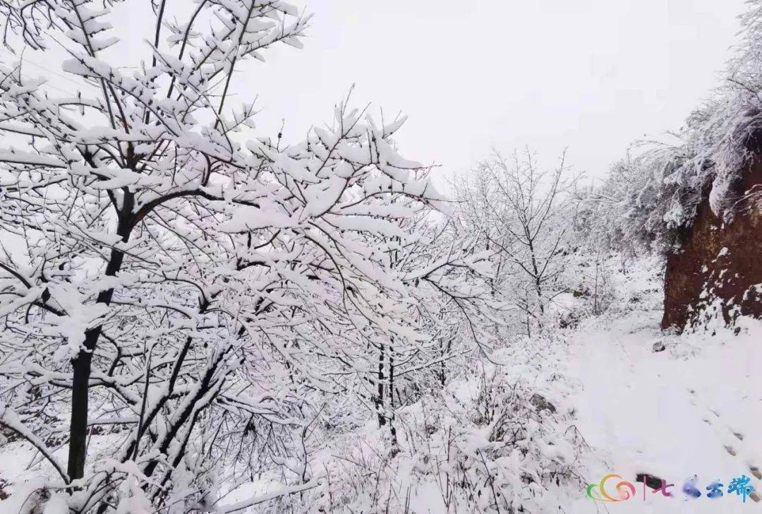 冬韵雪景