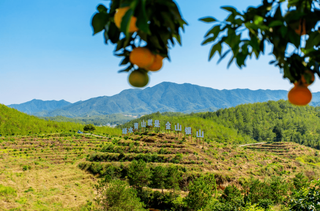 龙岩三洲图片