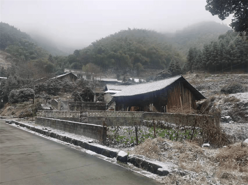 大雪|东岭寻雪