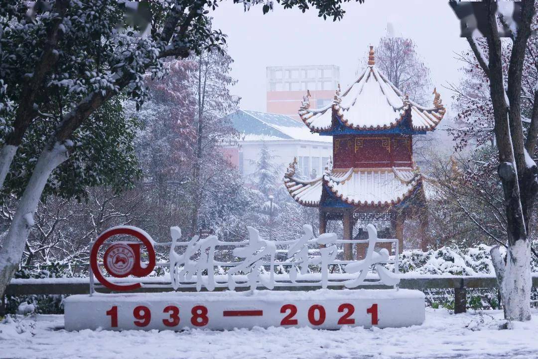 初雪|湖南高校初雪图鉴 第一次这么认真地赏雪