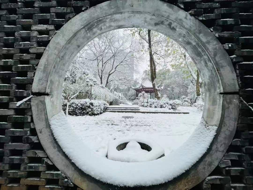 初雪|湖南高校初雪图鉴 第一次这么认真地赏雪