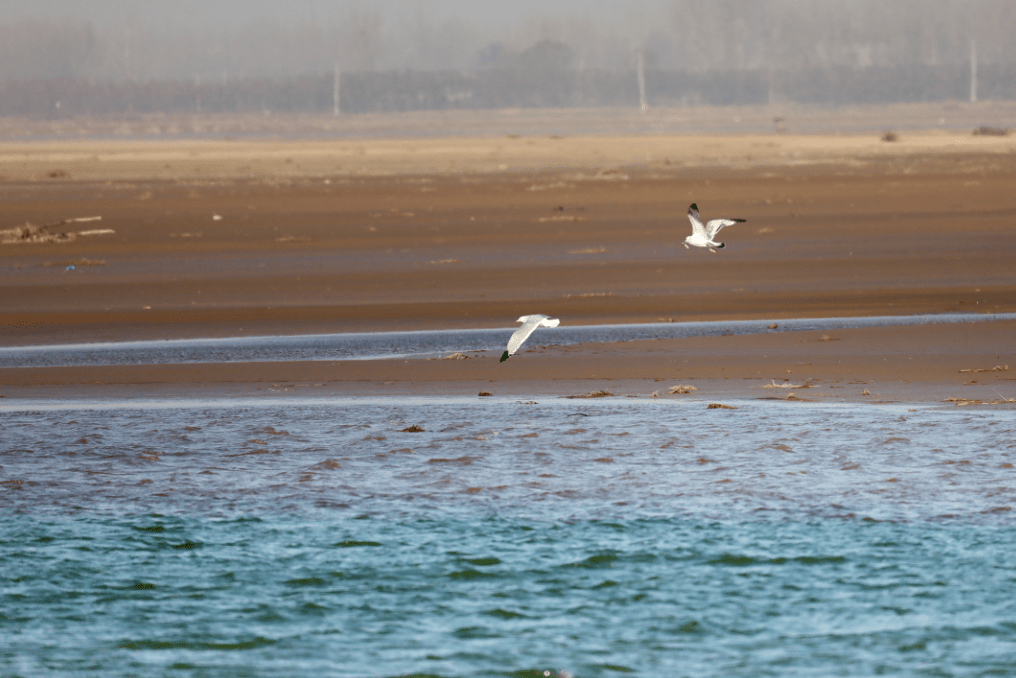 开封"网红打卡地"越来越多的背后_建设_阳光湖_城市
