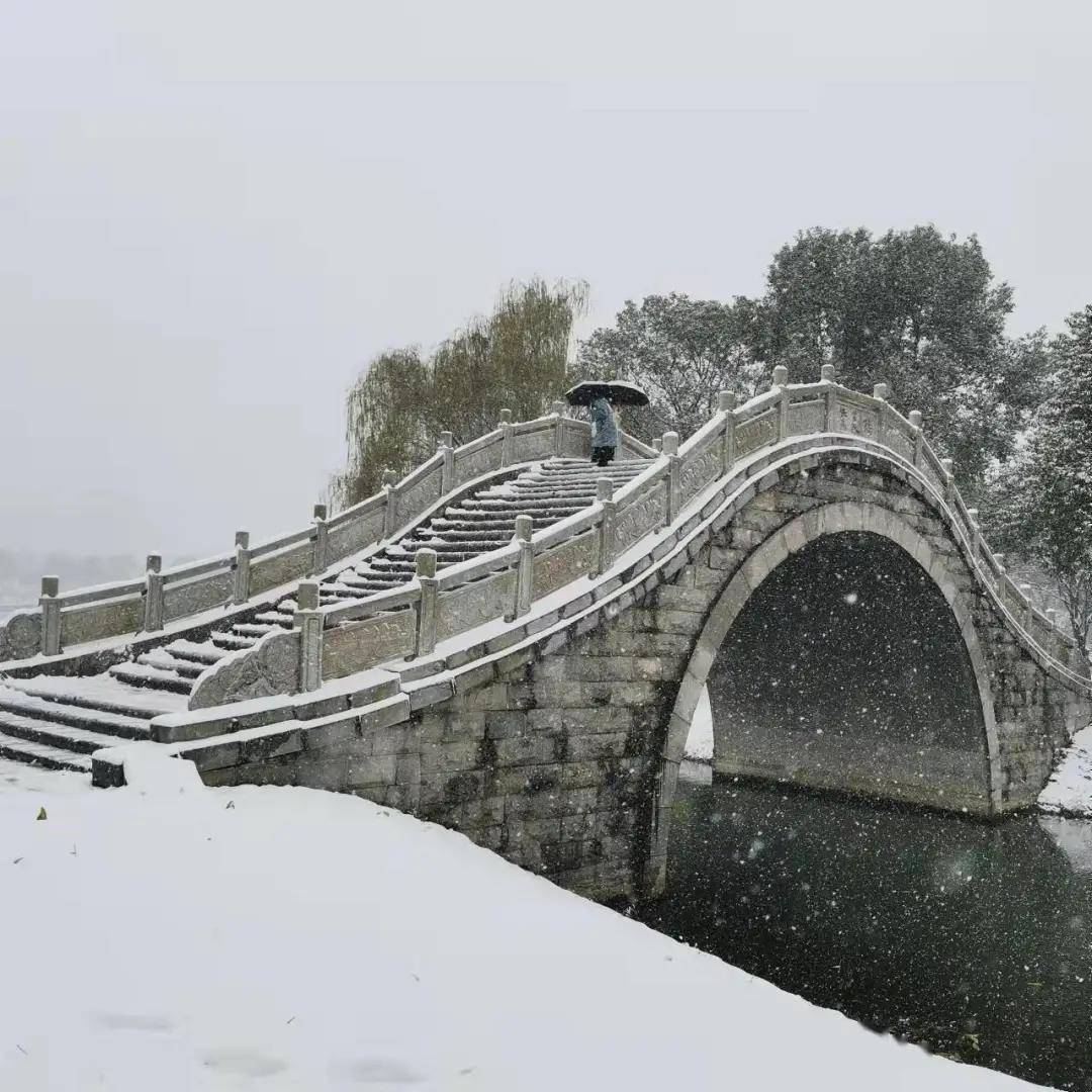 初雪|湖南高校初雪图鉴 第一次这么认真地赏雪