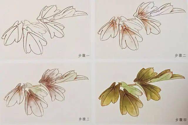 国画教程工笔牡丹步骤
