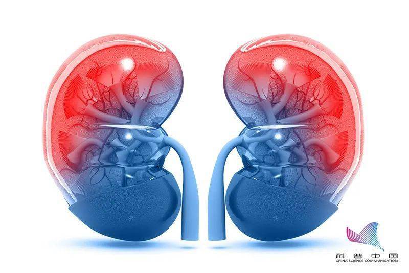 学燕|一天内收治5位尿毒症患者！注意，这些异常可能是肾脏在求救…