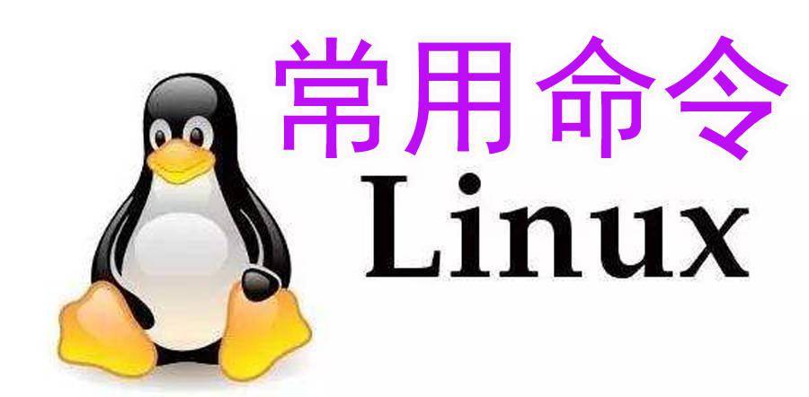 Linux Shell 输入 输出重定向 想玩转linux就请一直看下去 File 文件 Users Linux Shell 输入 输出重定向 想玩转linux就请一直看下去 File 文件 Users