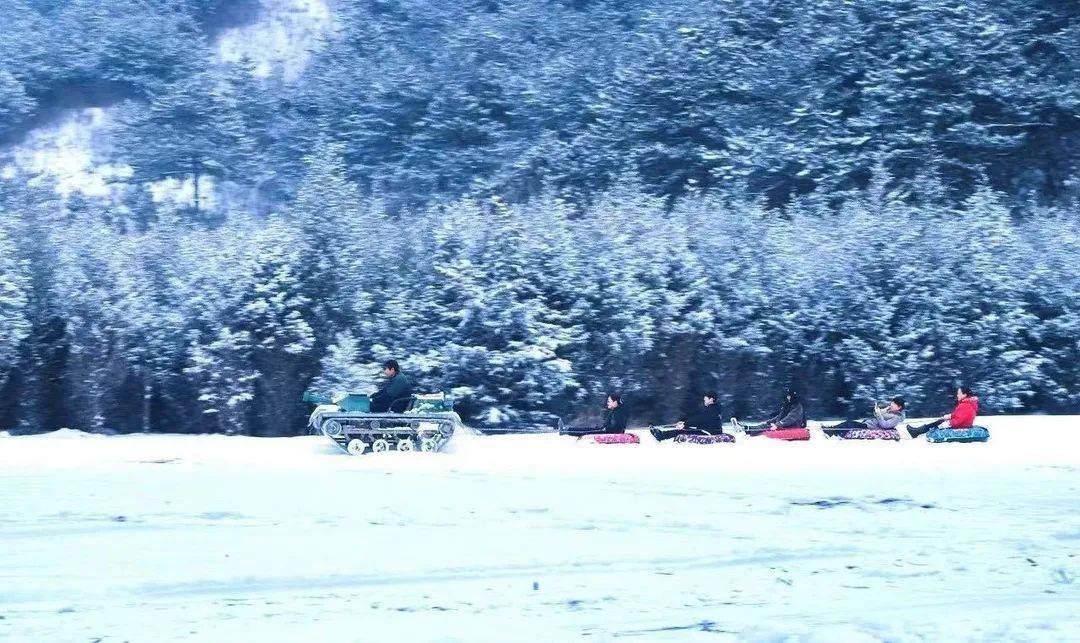 运动会|青山园冰雪嘉年华，治好你的玩雪渴望症