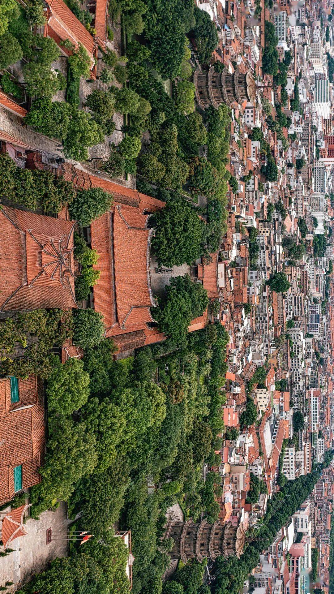 泉南佛国第一刹泉州开元寺