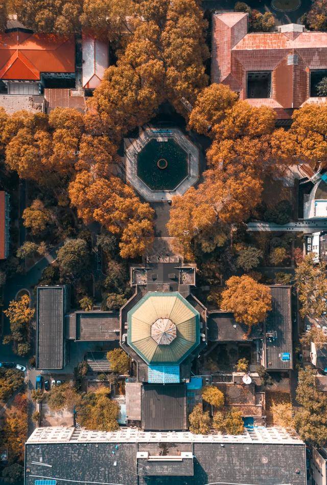 东南大学我不是福建大三本
