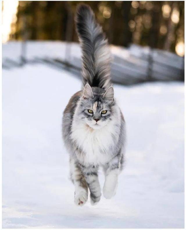 26a650c77050401e9f9ca94ed1c60773.jpeg