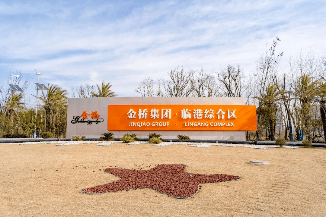 金桥集团主体开发下的临港综合产业片区是要造一座城啊