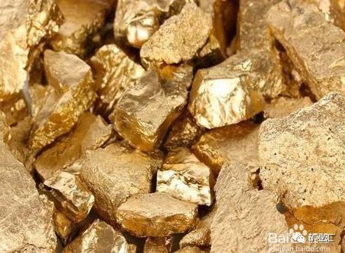 世界上最大的狗头金 5a5a50cc4cf24077af220b39bf6c5905.jpeg