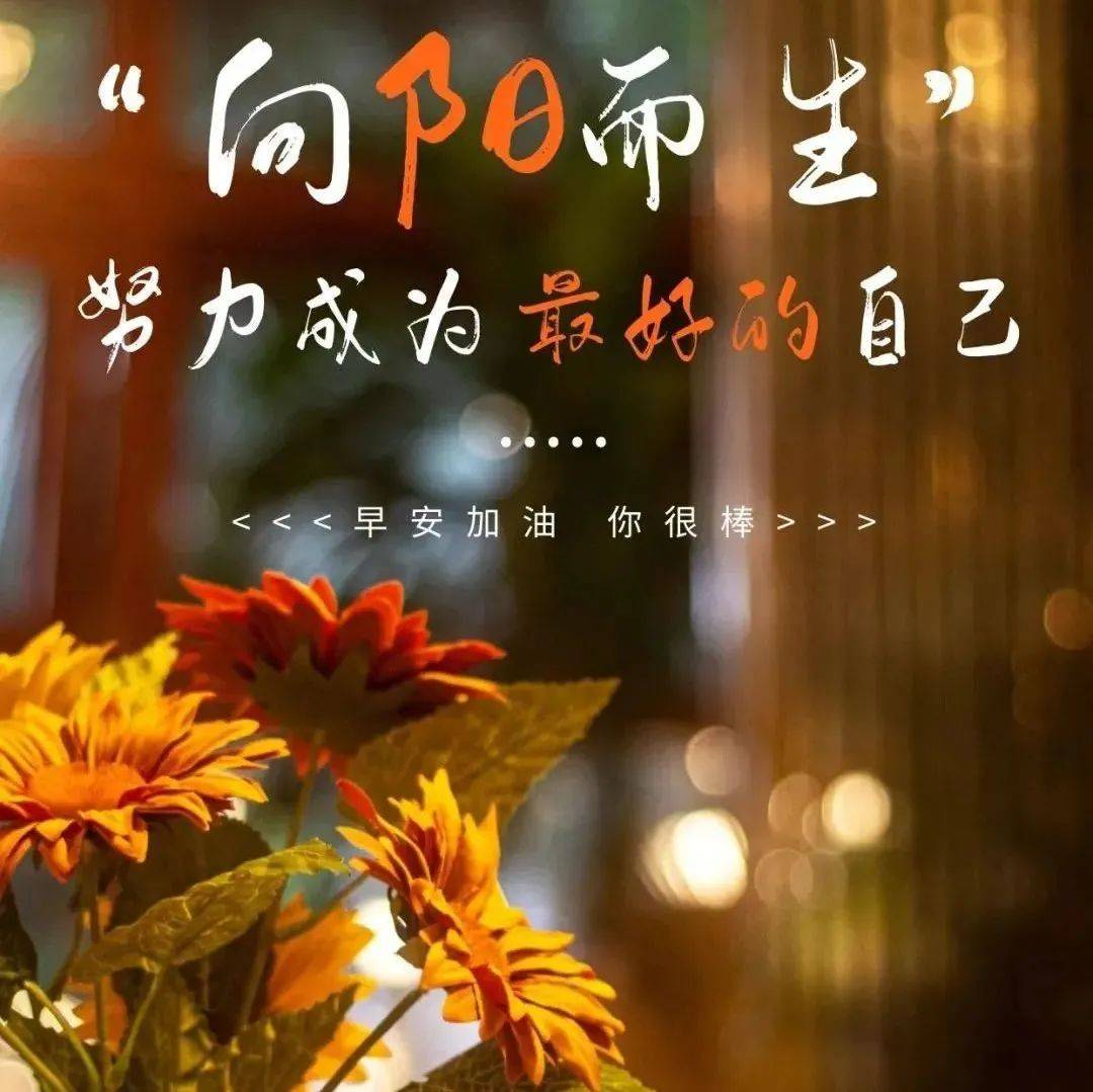 清晨,最棒的一段话_时光_人生_步一