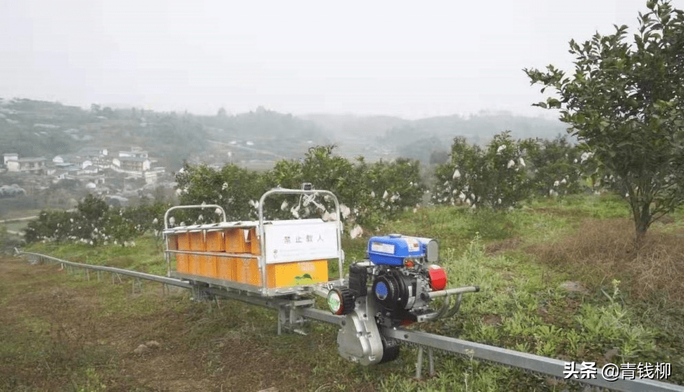 山區果園軌道運輸機在四川的應用現狀分析_山地_丘陵_建設