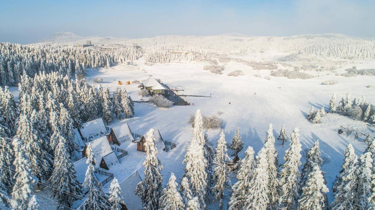 滑雪场|冰雪狂欢|2021第十二届仙女山冰雪季启动