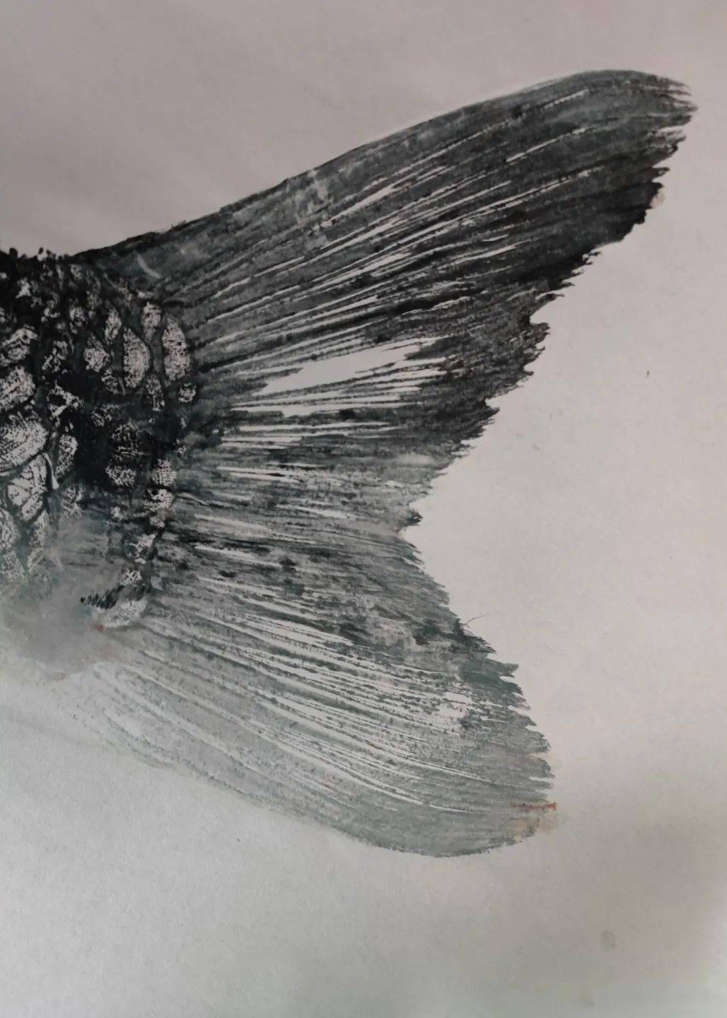 锡山区第五届旅游节暨2021无锡甘露青鱼文化节开幕_市集_鱼拓_鹅湖镇