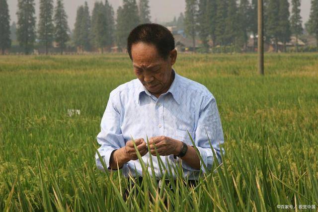 杂交水稻之父袁隆平先生让我们吃饱饭的食神愿您一路走好