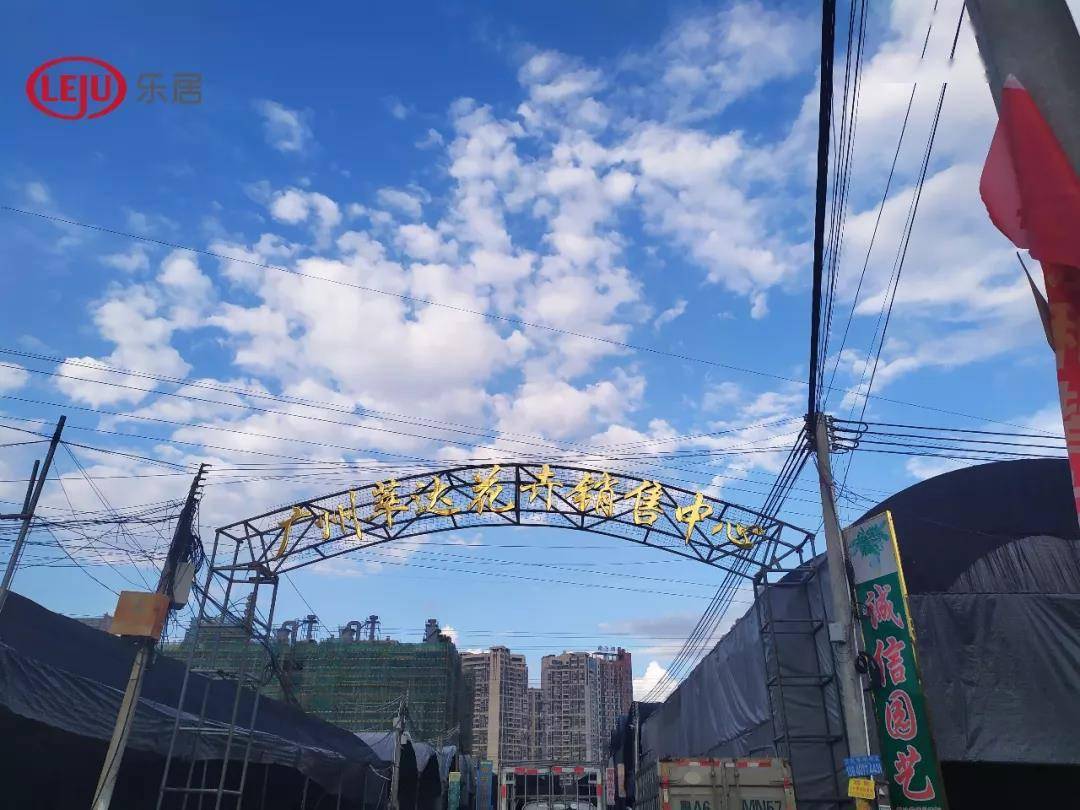 佳兆业没卖海南村项目,背后是荔湾旧改的大变局?_广州_公司_基金