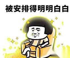 5ac8c09df7bb4b7185fdca43167c55b1.jpeg