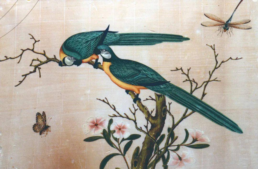 新展开幕外销通草画带你看百年前市井生活百态