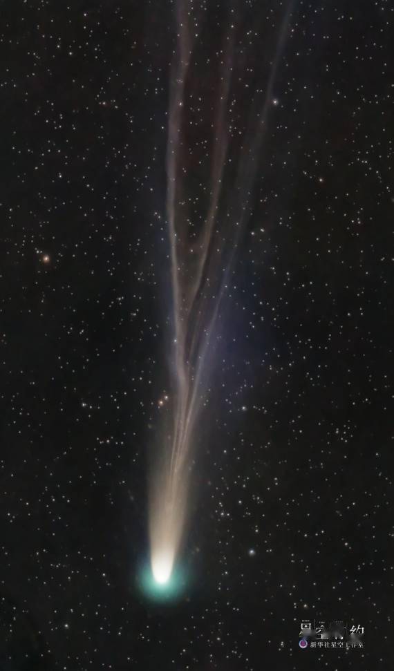 彗星|星空有约｜2021年度“最亮彗星”3日过近日点