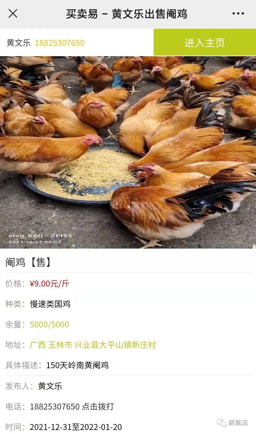 收购信息暂无.小禽人你养乌骨鸡了嘛?【买卖易 2.