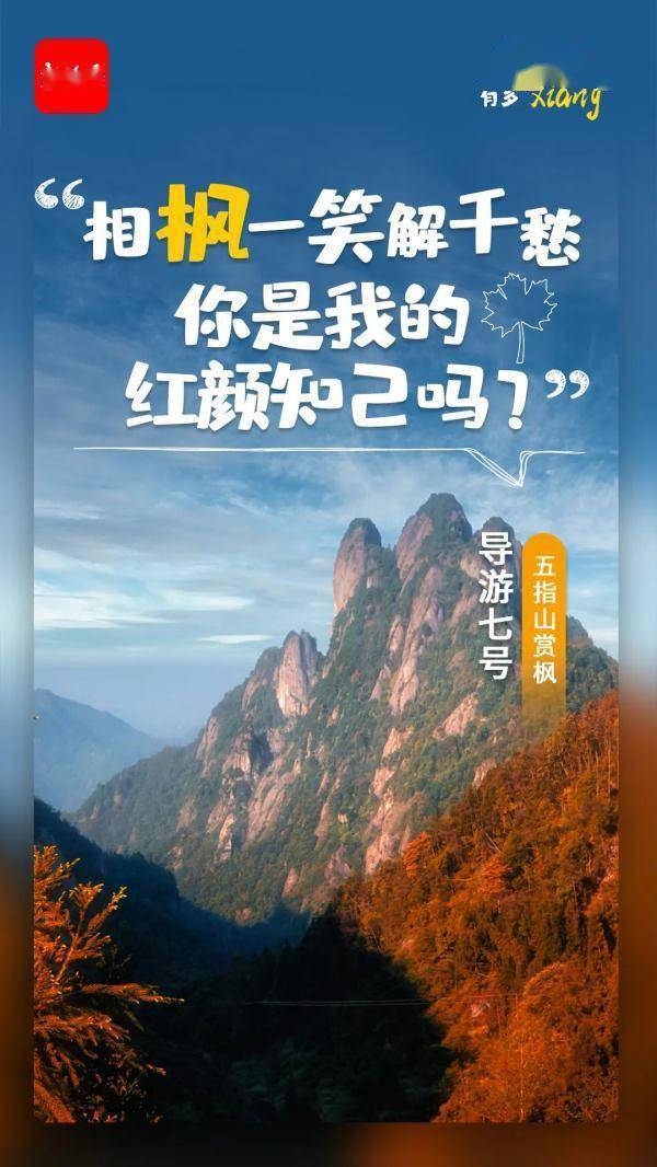 导游|海南宝藏“导游”集体出镜！元旦就要去一些可可爱爱的地方……