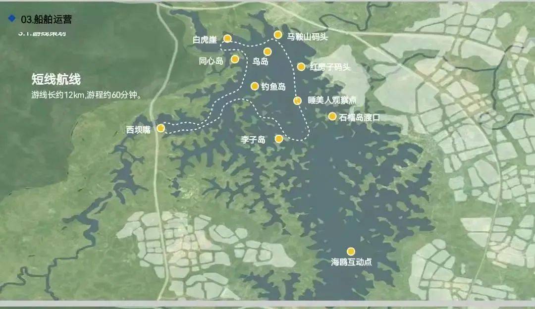 【今日封面】泛舟观鸟,三岔湖上晒冬日暖阳!_成都_游船_鸟儿