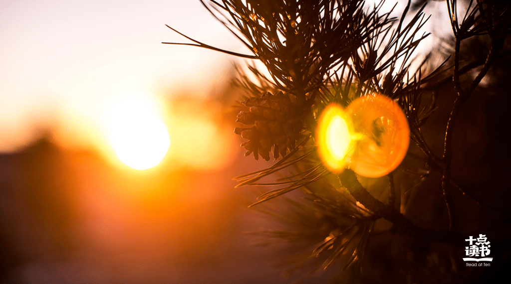 角色|《武林外传》开播16年：那一年，姚晨负债十万，闫妮正离婚，沙溢街头痛哭……