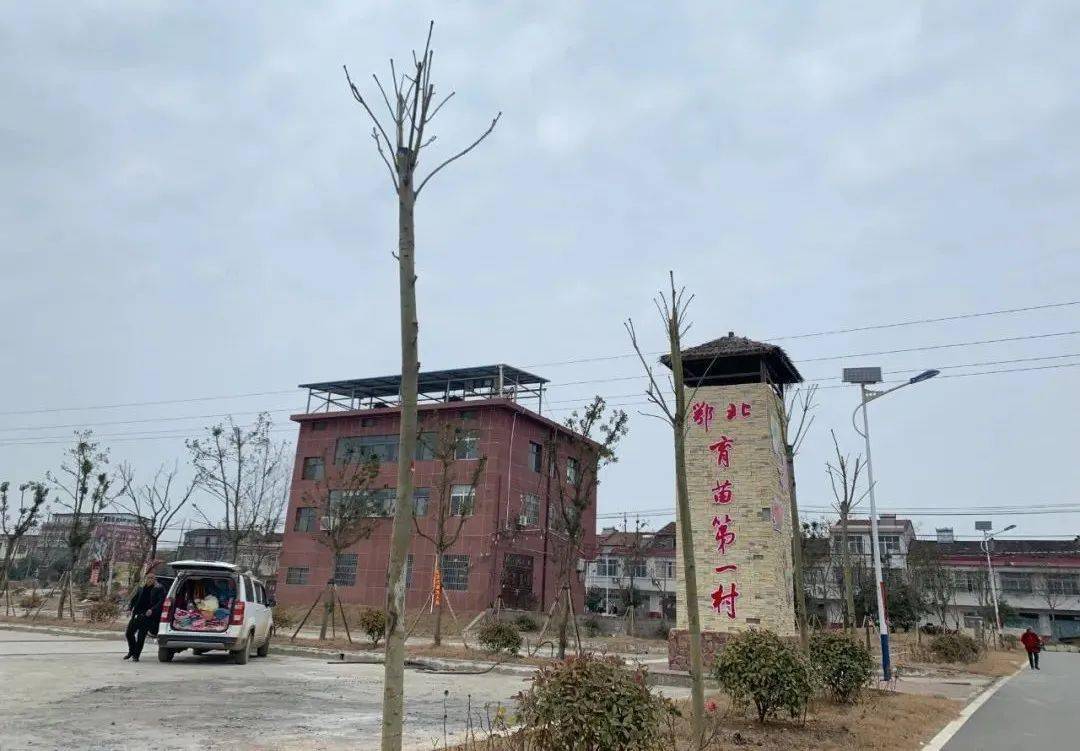 老河口黄寨村育出致富金苗苗