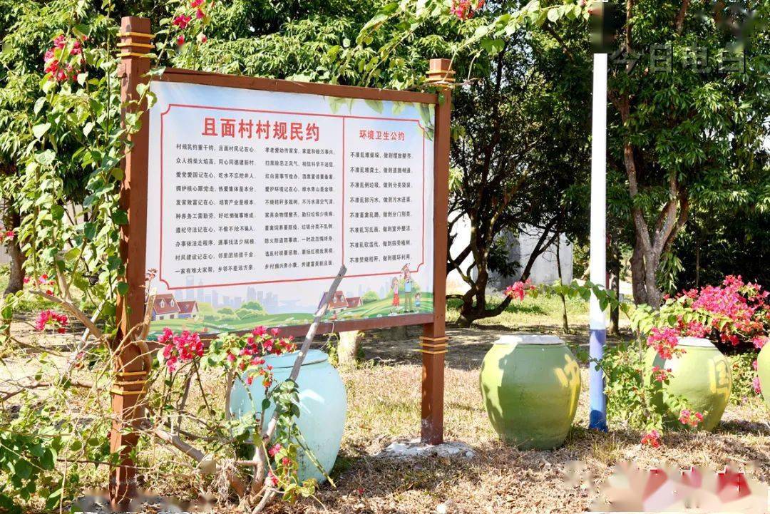 农村党员公约范文(农村党员的公开承诺书怎么写)
