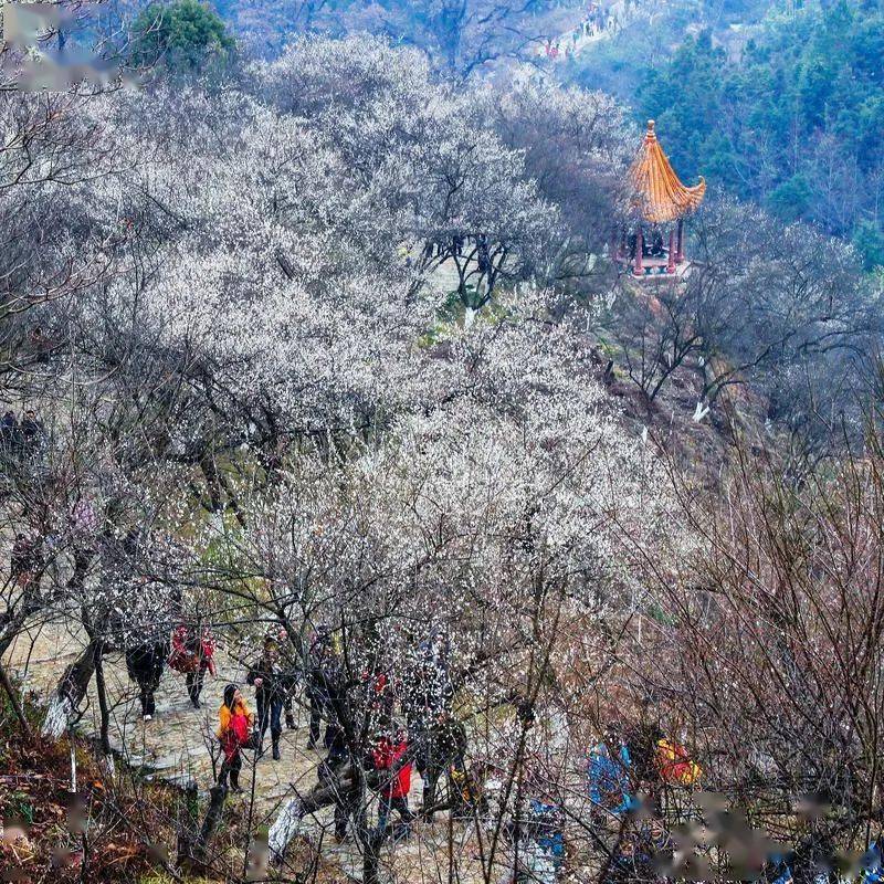 广东|假期首日，广东4A级及以上景区总预约数13万人次