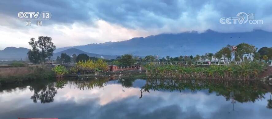 景区|假期访美景 | 冬日大屯海水天一色 越冬候鸟如约而至