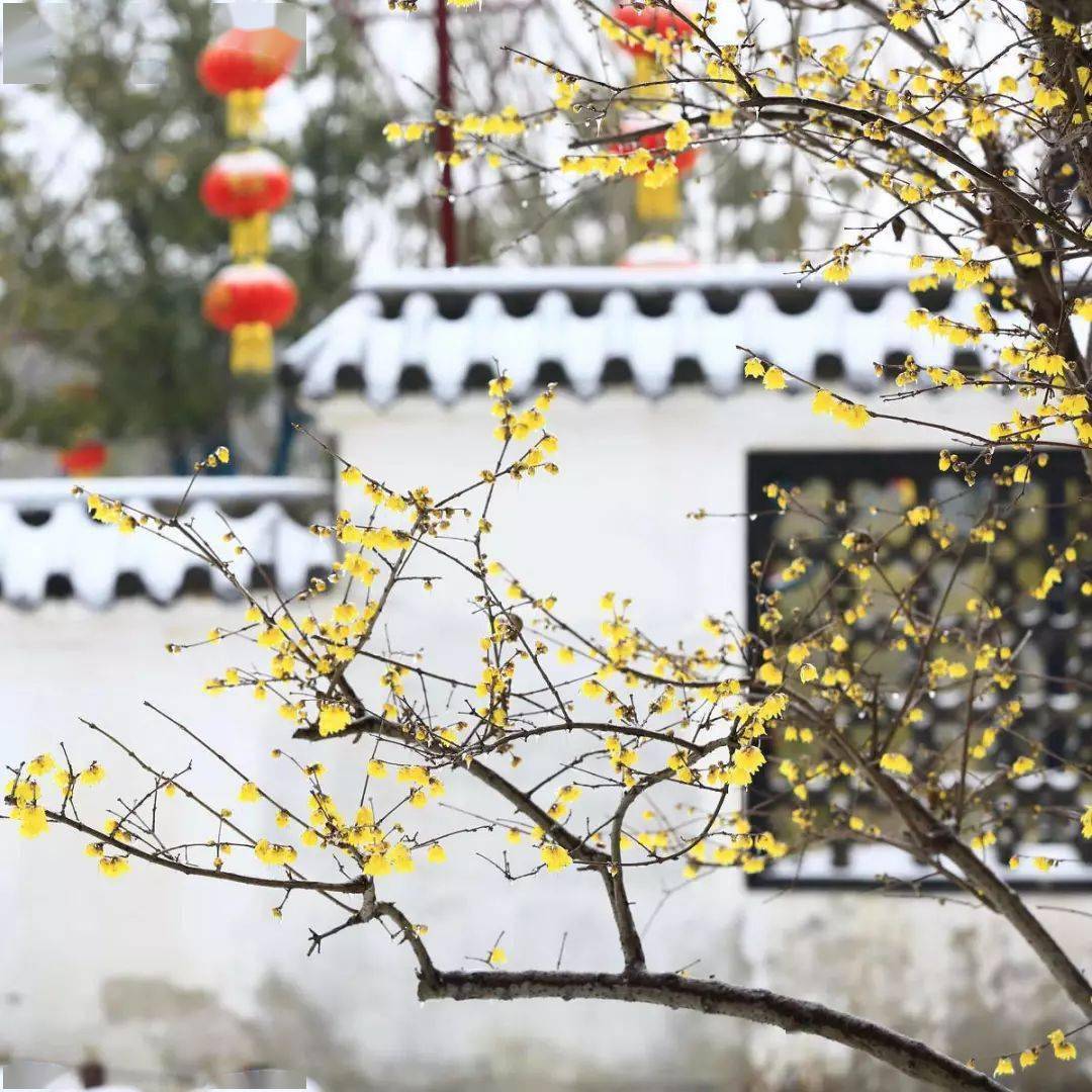 诗意腊月,最中国_陆游_故乡_灶君