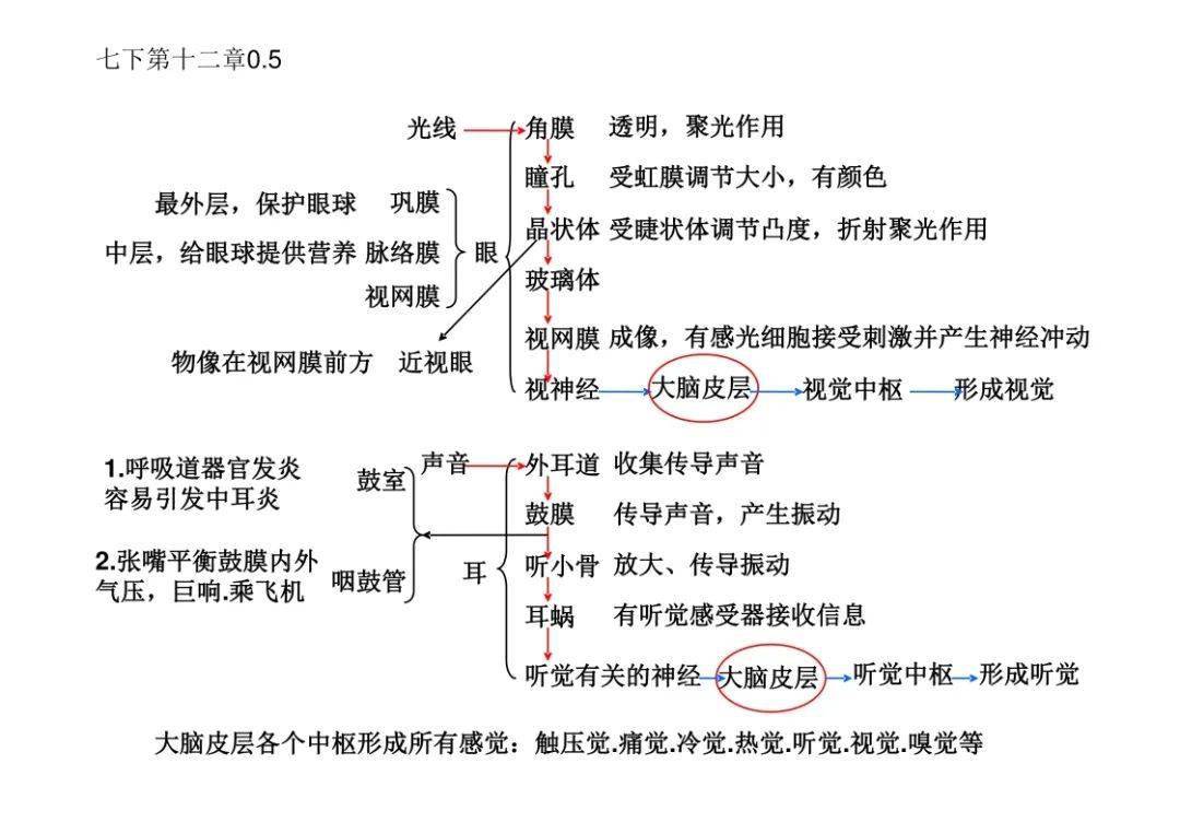 眼球的思维导图图片